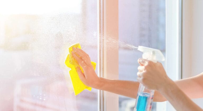 Novato Cleaning Services 4